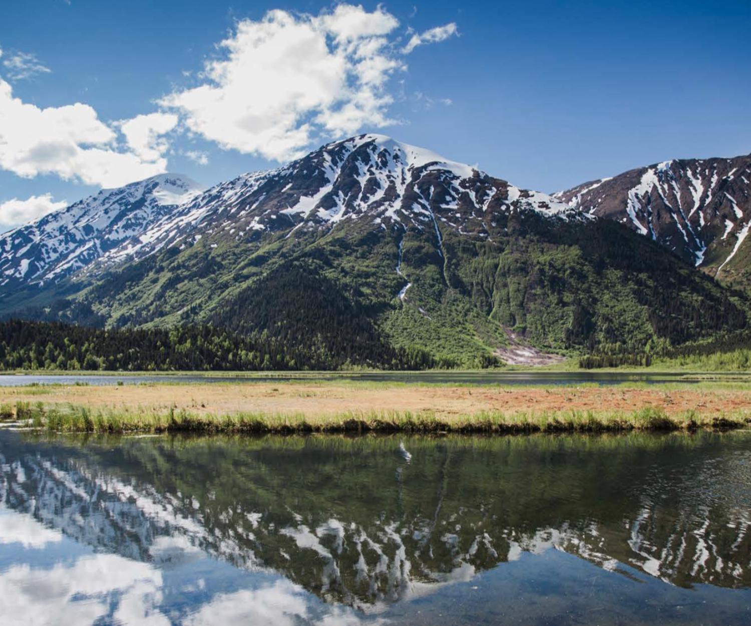 Tern Lake Summer Scene in the Kenai Mountains Turnagain Arm National Heritage Area