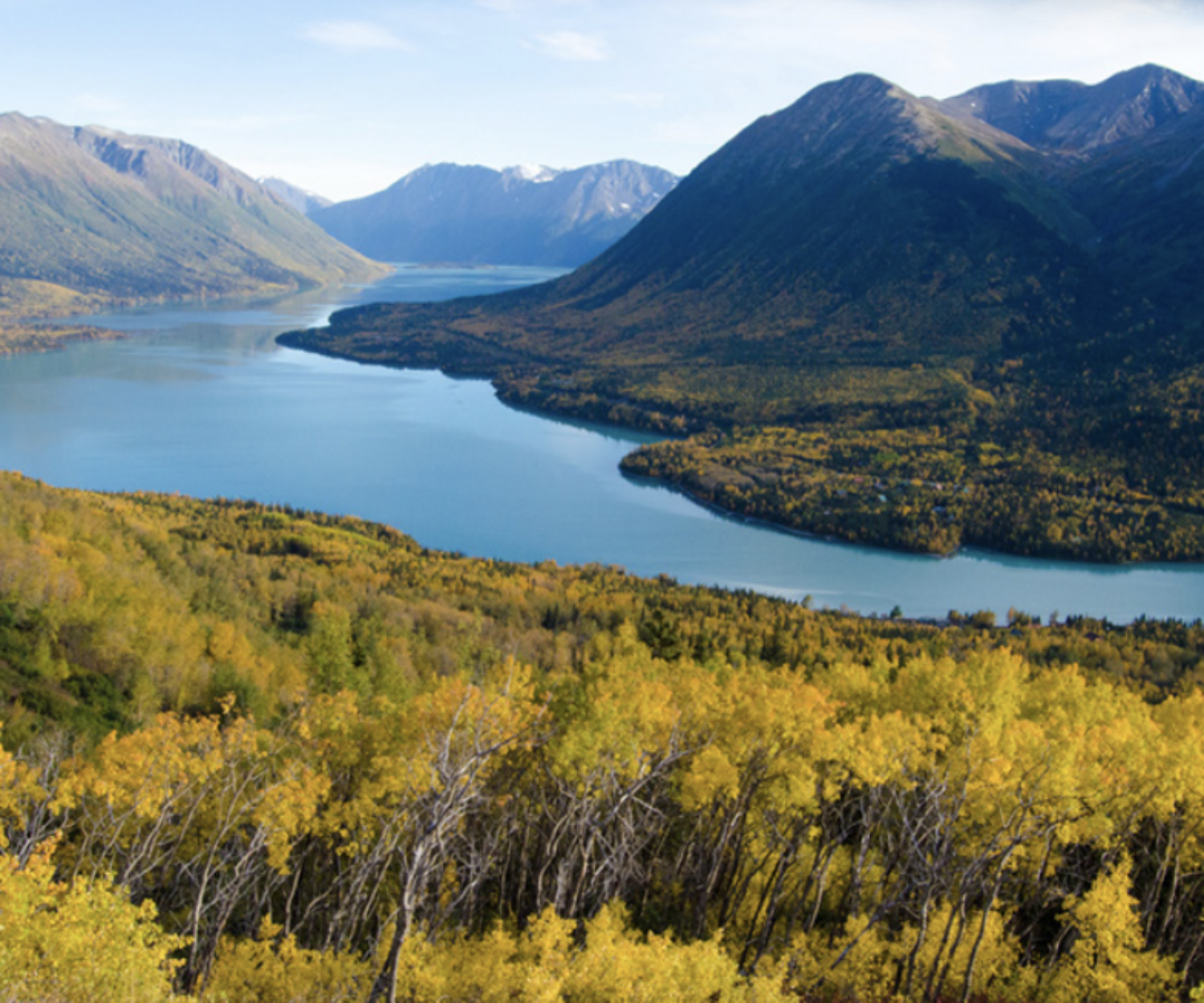 View of Kenai Lake from Slaughter Gulch Trail by Lauren Fraser