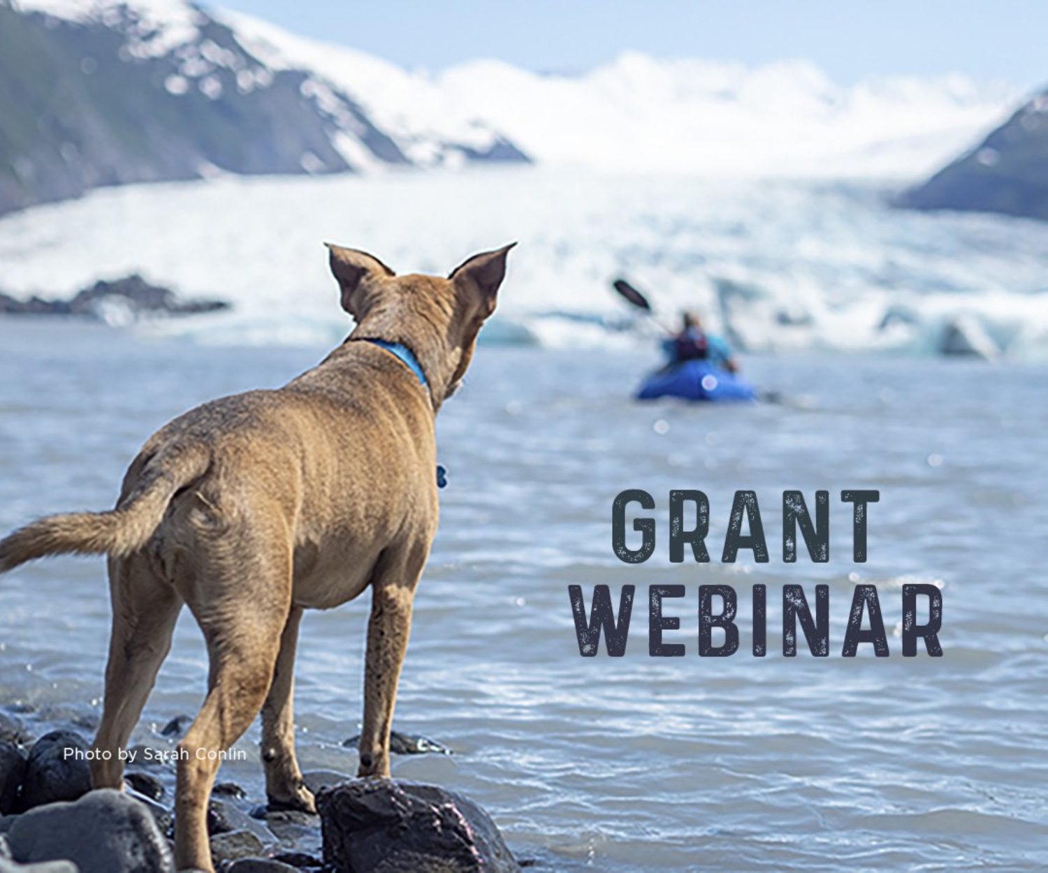 Annual Grant Informational Webinar | Photo by Sarah Conlin