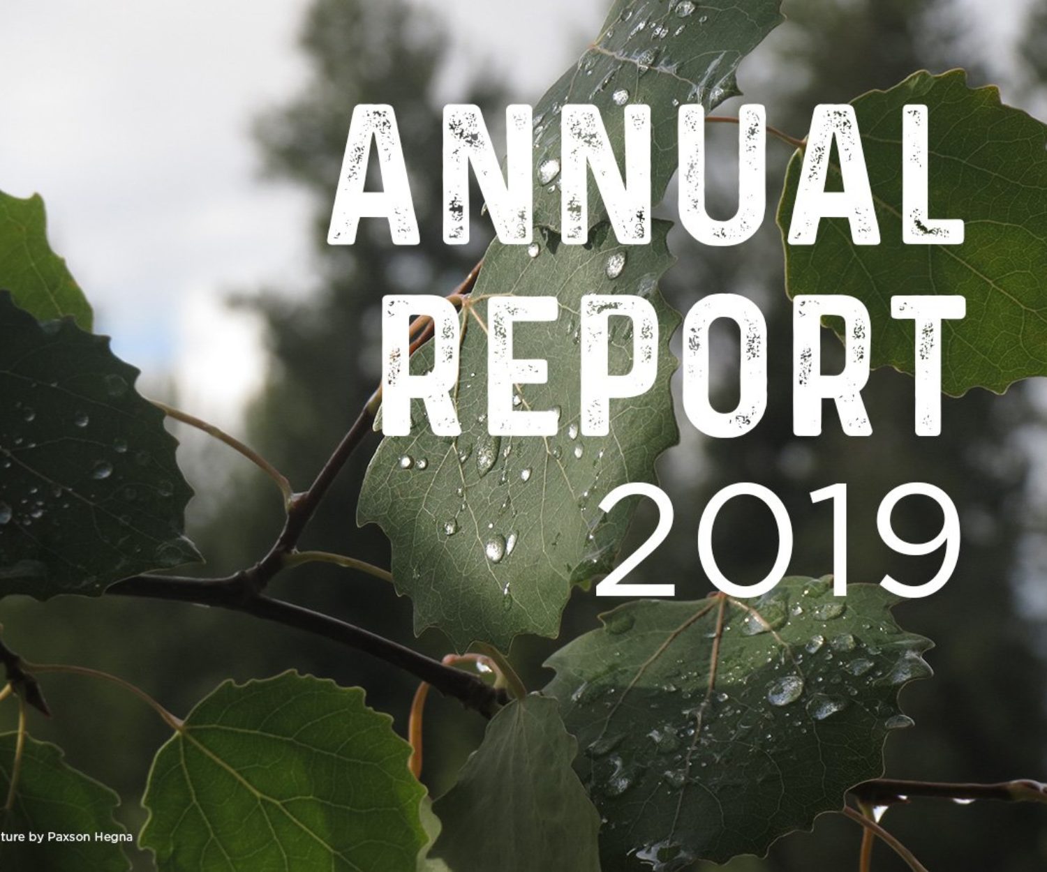 Annual Report 2019