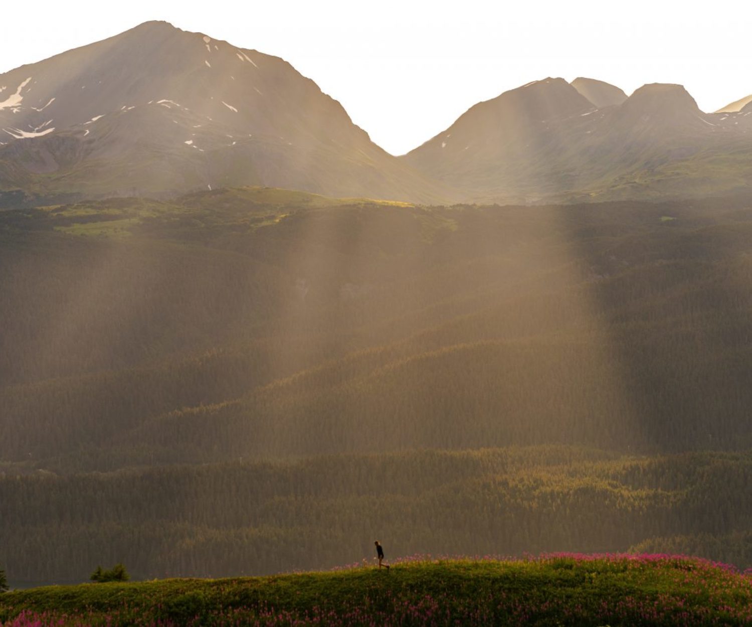 Late Night Trail Running by Nelson Brown