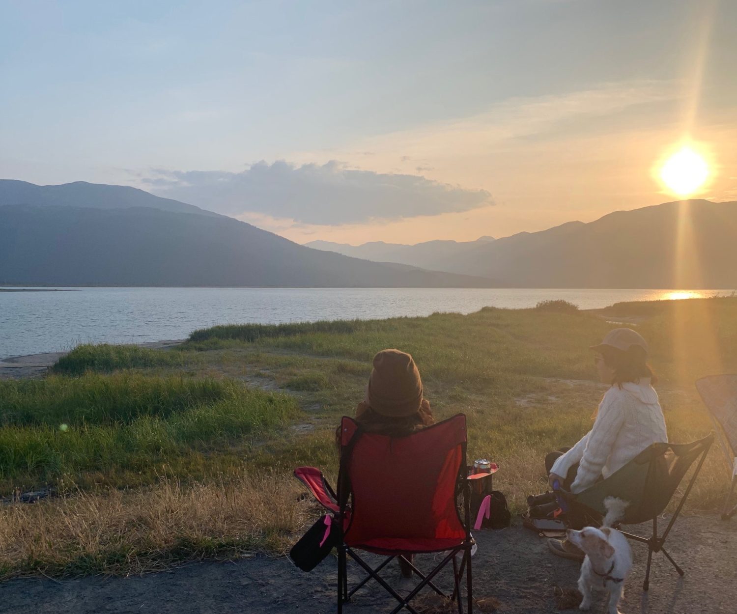 Beluga Whale Watching on Turnagain Arm