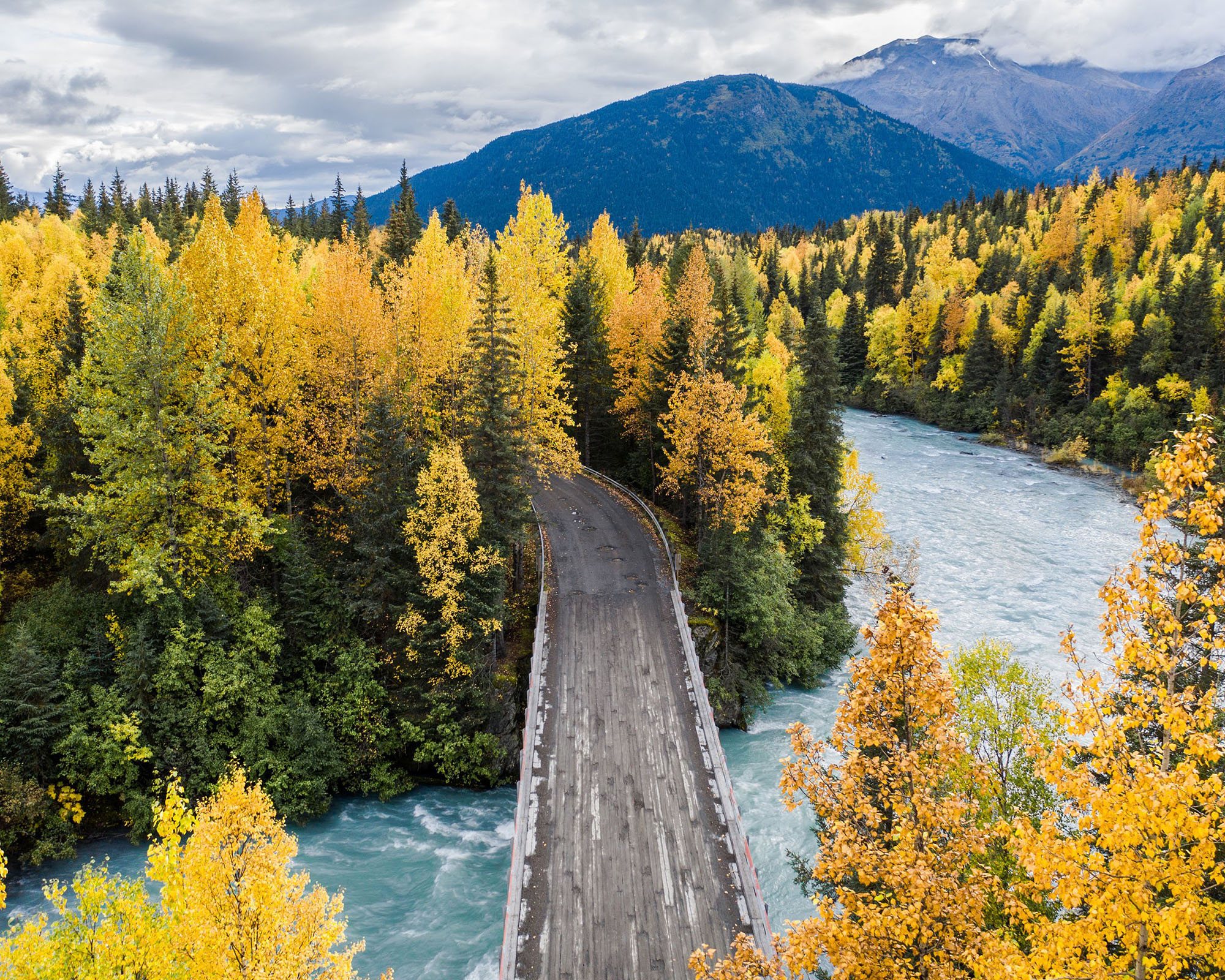 In Awe of Autumn in Moose Pass, Alaska by Janessa Anderson