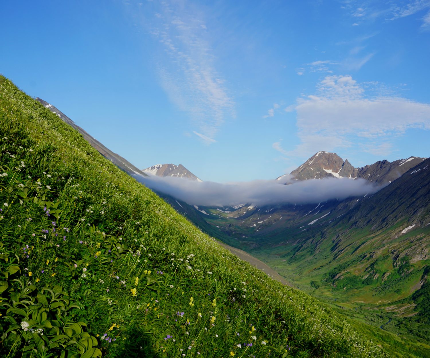 Looking up to the headwaters of Falls Creek on the Kenai Peninsula in Alaska