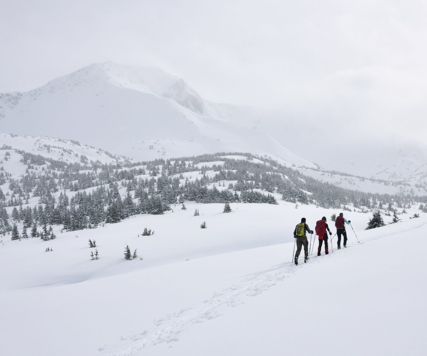 Photo by Paxson Woelber