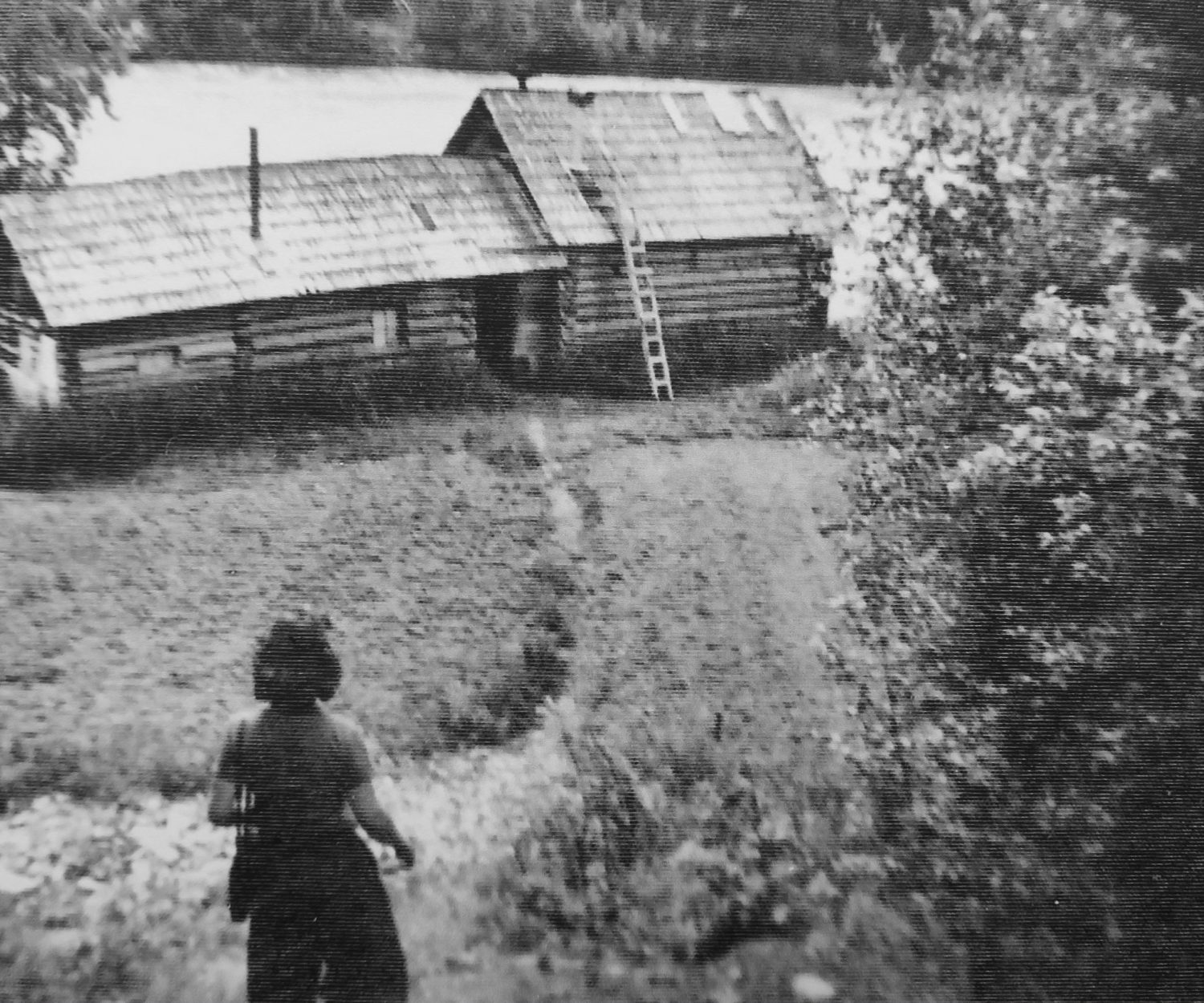 A friend approaching the Jims' home near Schooner Bend.
