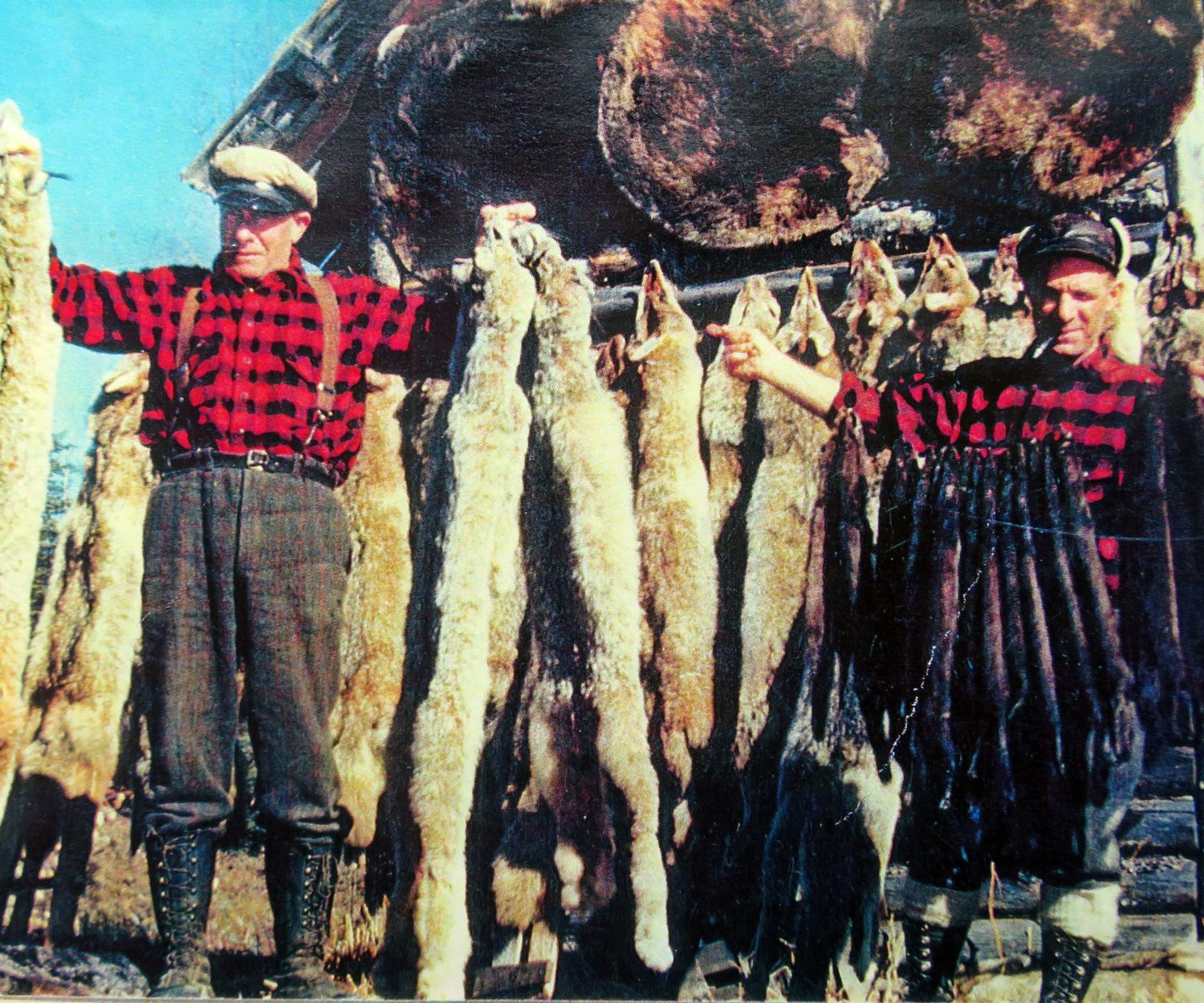 Little Jim & Big Jim with furs.