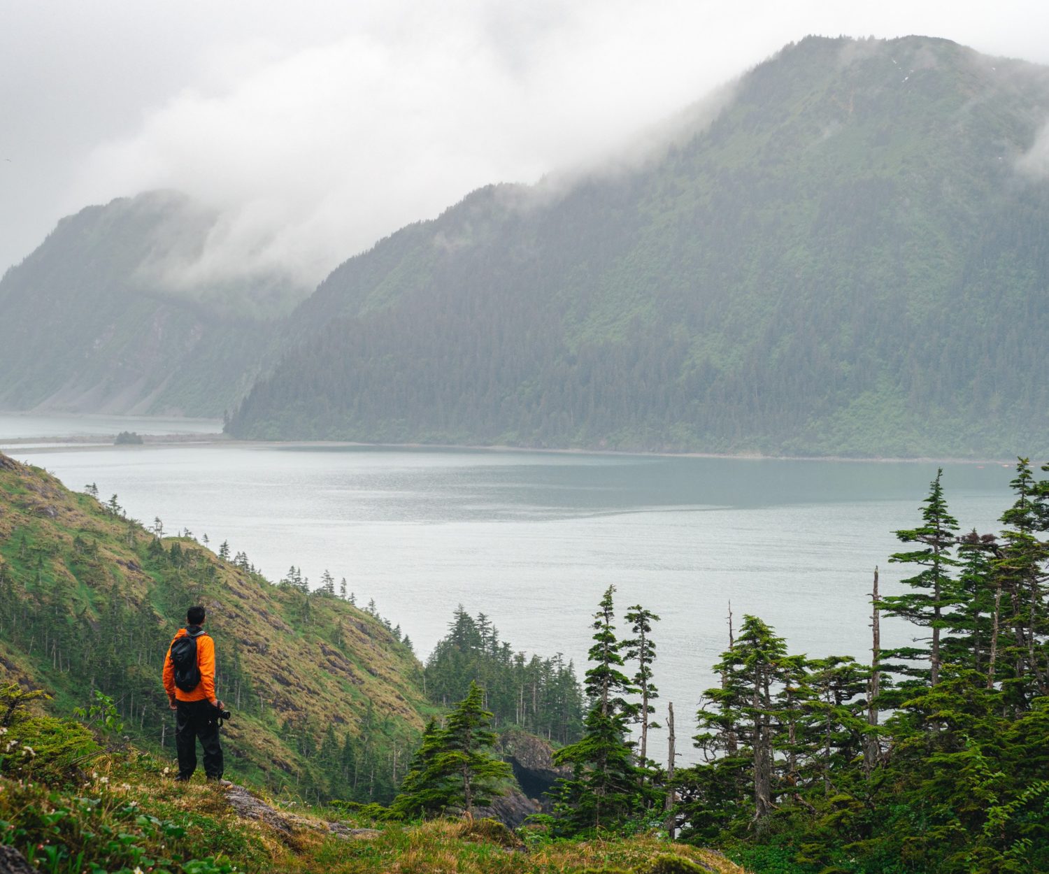 Photo by Sarah Conlin