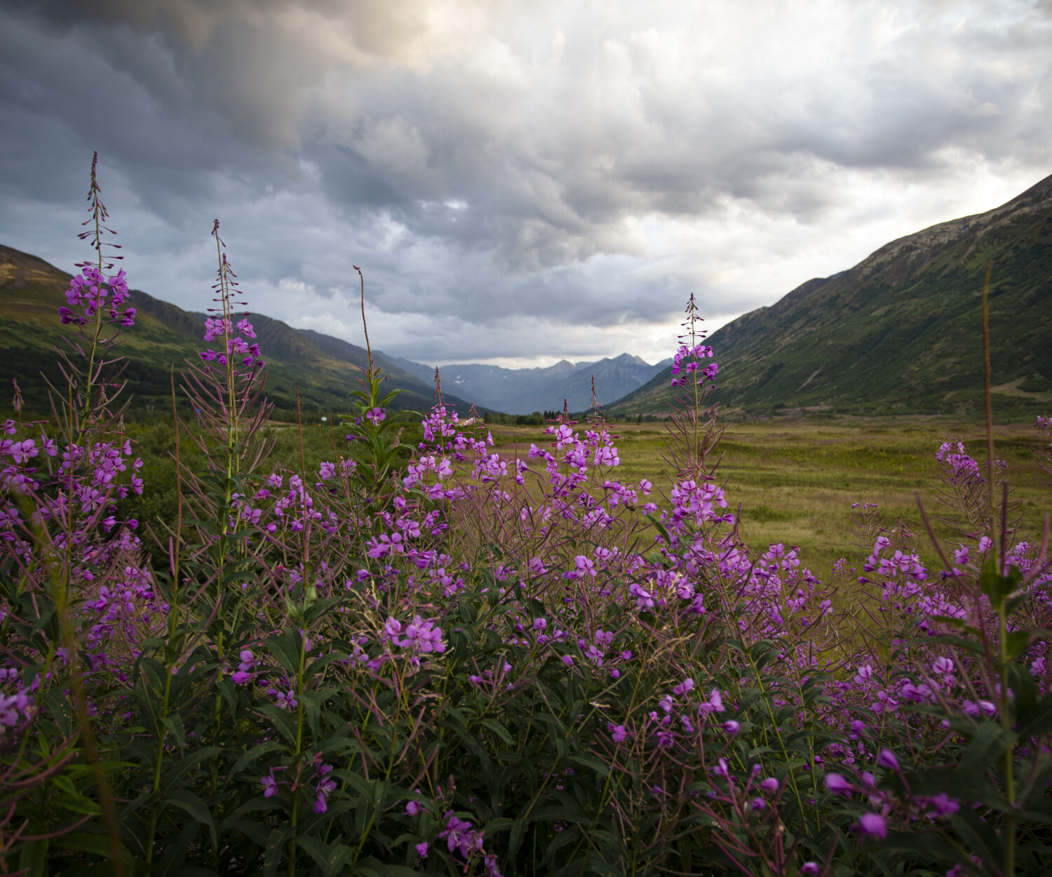 kmta-kenai-mountains-turnagain-arm